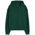 Elegant Zipper Hoodie Desichalchitra