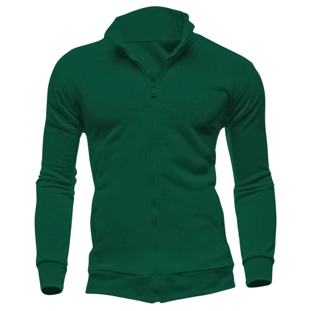 Elegant Zipper Collar Hoodie Desichalchitra