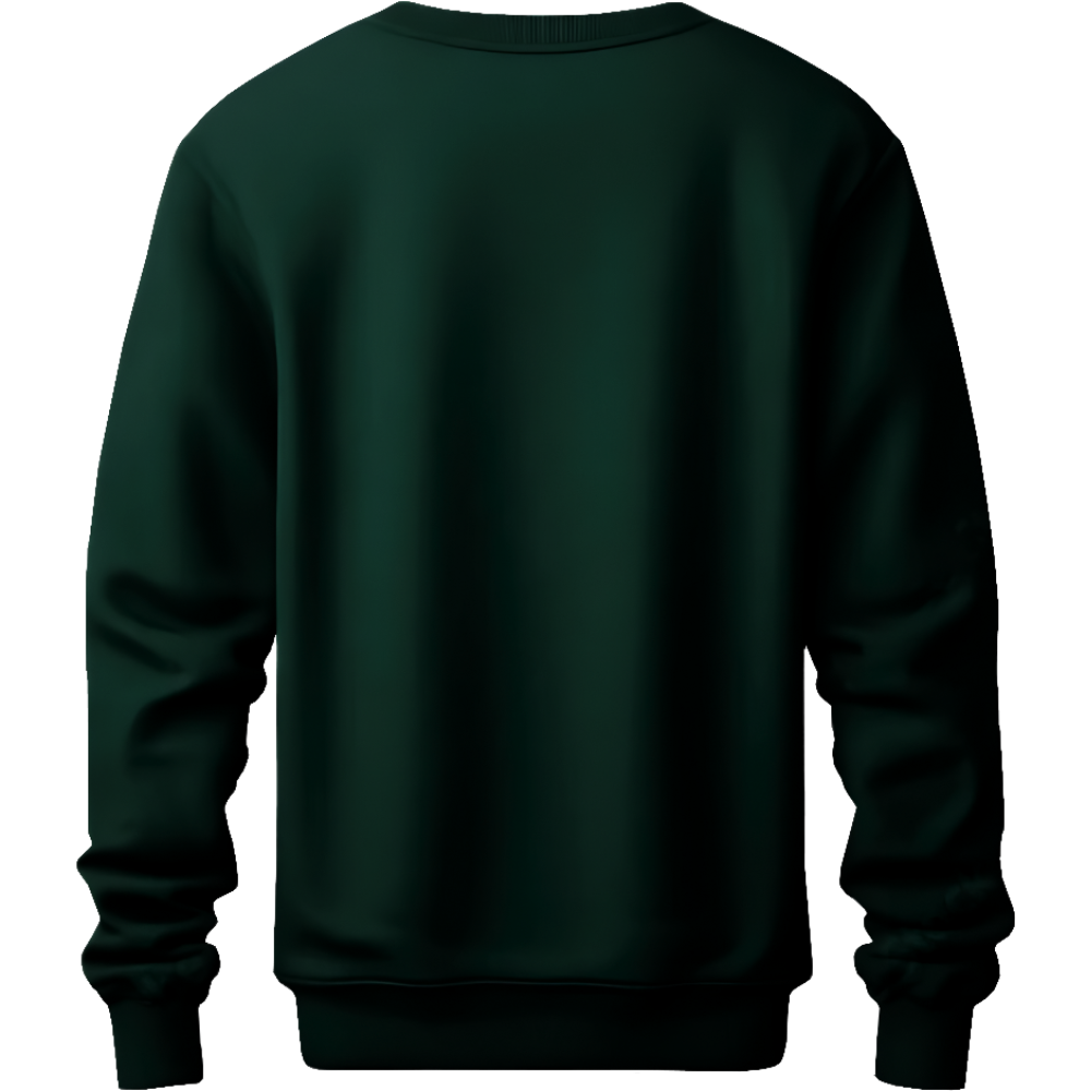 Funky Sweatshirt Desichalchitra
