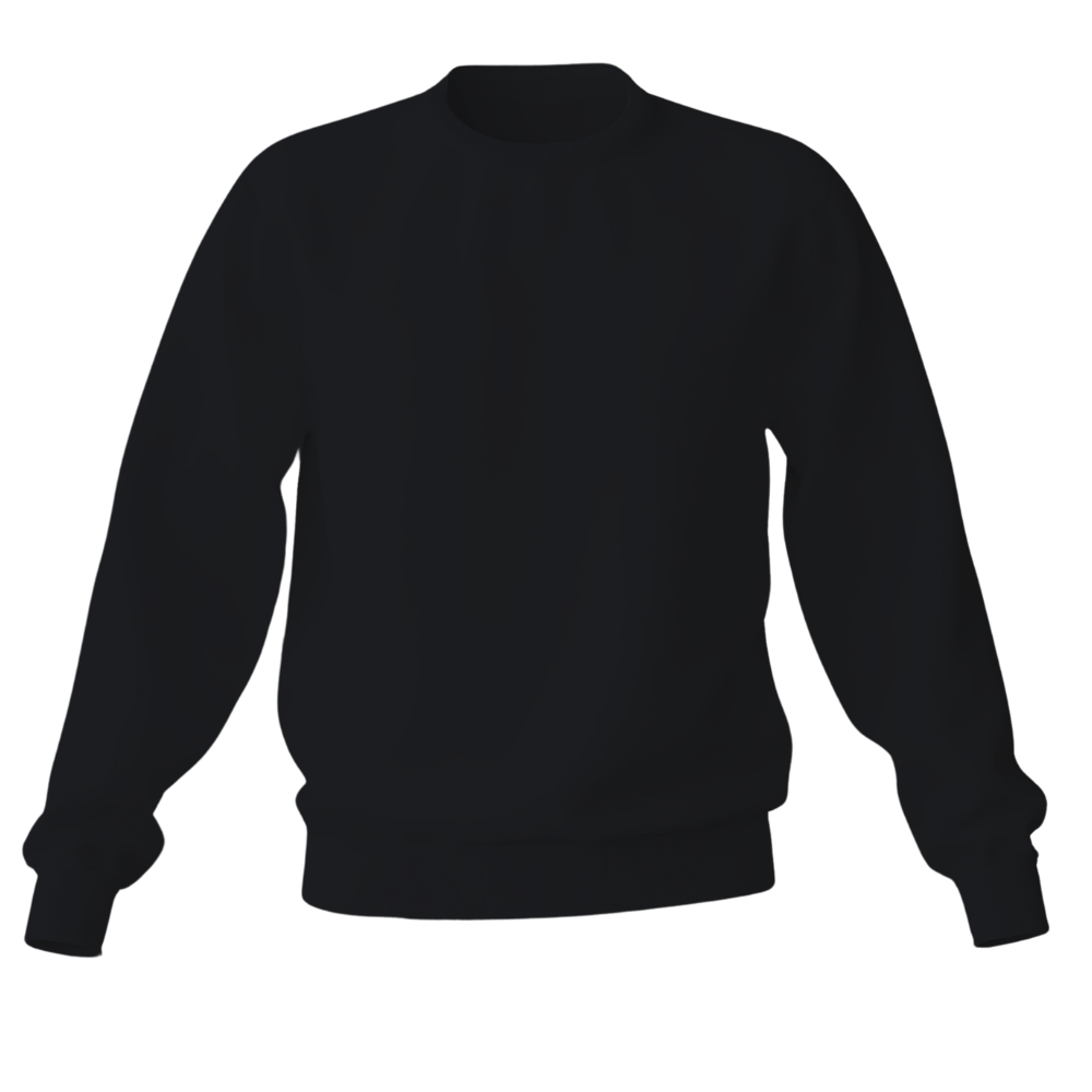 Elegant Sweatshirt Desichalchitra