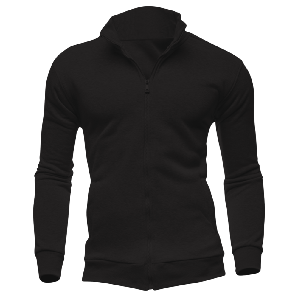 Elegant Zipper Collar Hoodie Desichalchitra