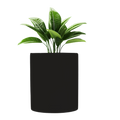 Planter Pot Desichalchitra