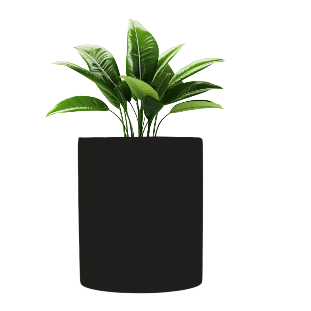 Planter Pot Desichalchitra