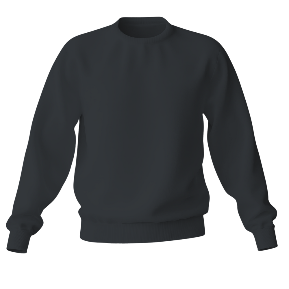 Elegant Sweatshirt Desichalchitra