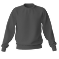 Elegant Sweatshirt Desichalchitra