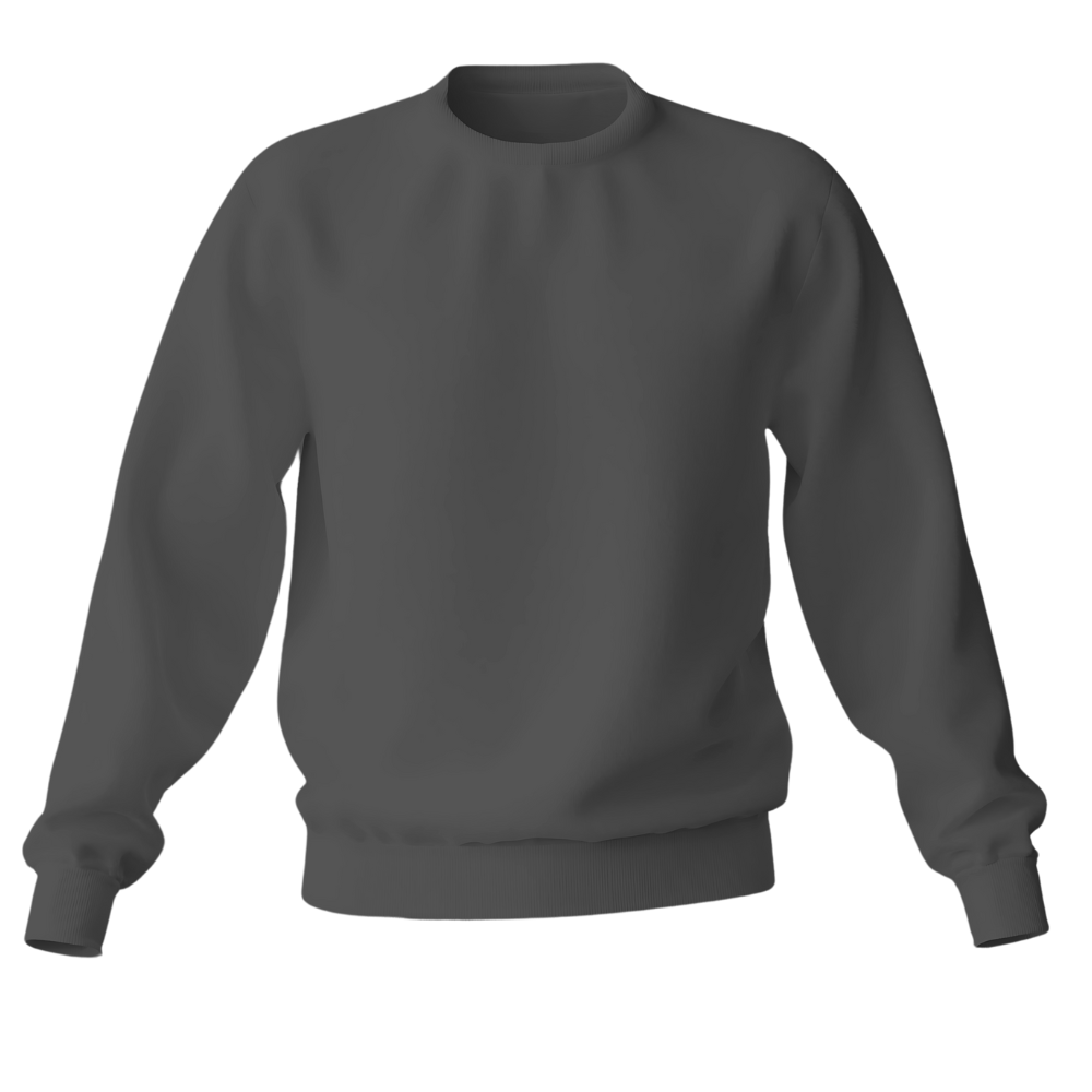 Elegant Sweatshirt Desichalchitra