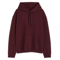 Elegant Hoodie Desichalchitra