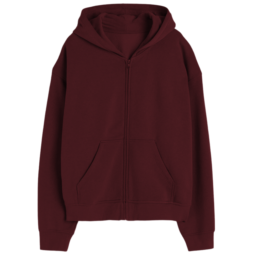 Elegant Zipper Hoodie Desichalchitra