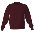 Elegant Sweatshirt Desichalchitra