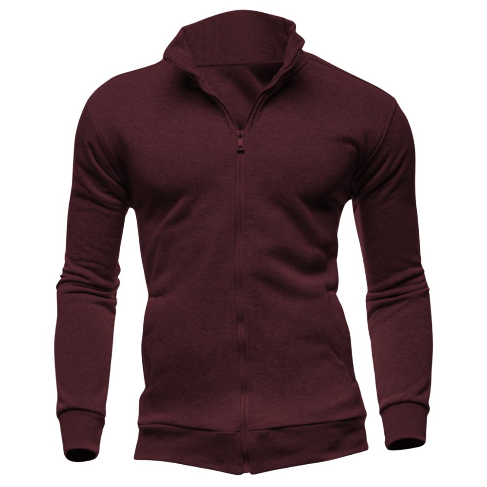 Elegant Zipper Collar Hoodie Desichalchitra