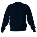 Elegant Sweatshirt Desichalchitra