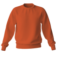 Elegant Sweatshirt Desichalchitra