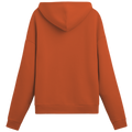 Funky Hoodie Desichalchitra