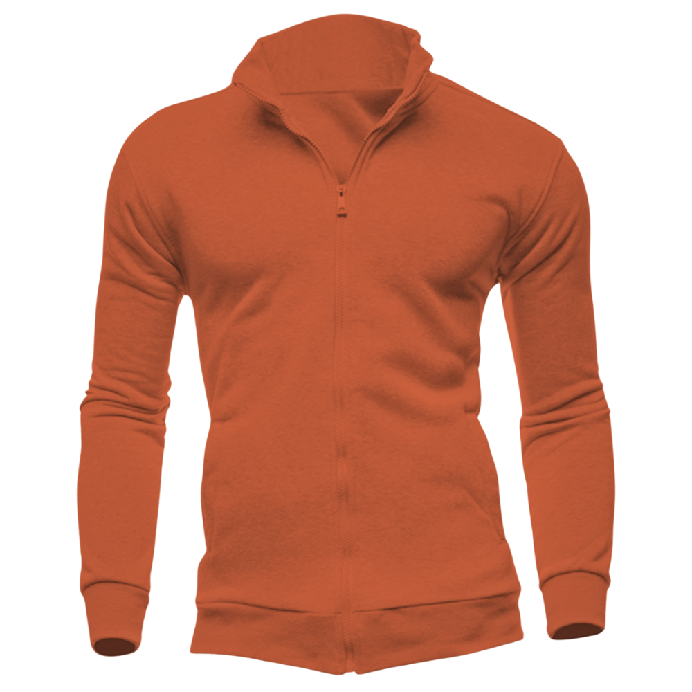 Elegant Zipper Collar Hoodie Desichalchitra