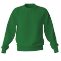 Elegant Sweatshirt Desichalchitra
