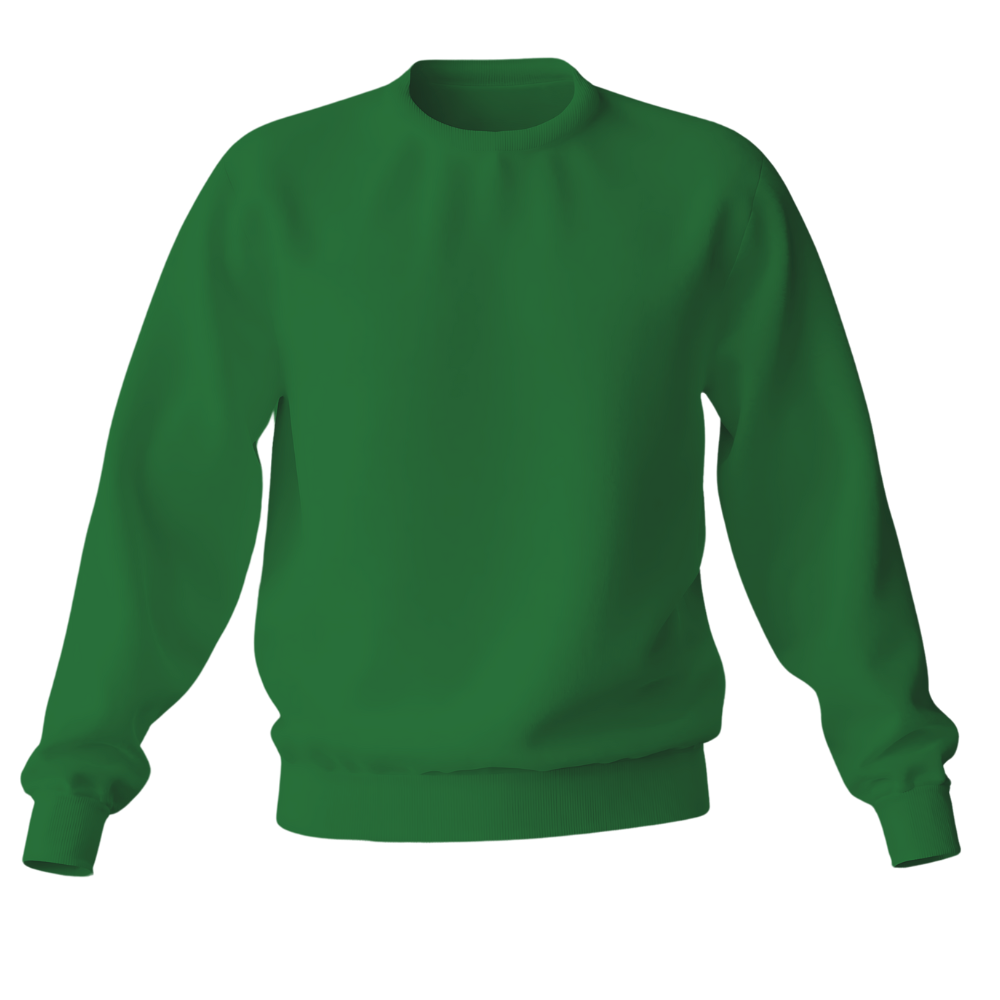 Elegant Sweatshirt Desichalchitra