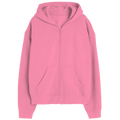 Elegant Zipper Hoodie Desichalchitra