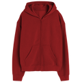 Elegant Zipper Hoodie Desichalchitra