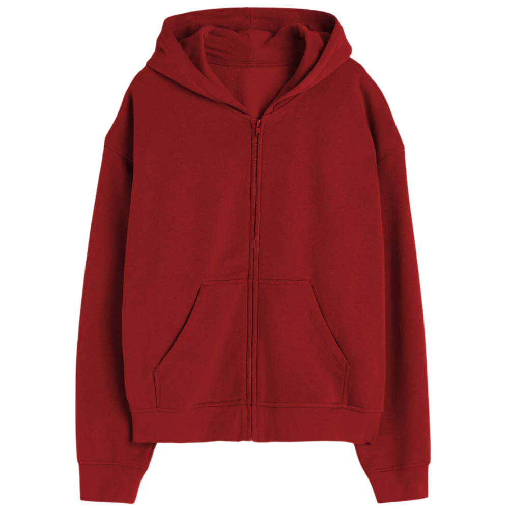 Elegant Zipper Hoodie Desichalchitra