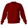 Elegant Sweatshirt Desichalchitra