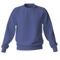 Elegant Sweatshirt Desichalchitra