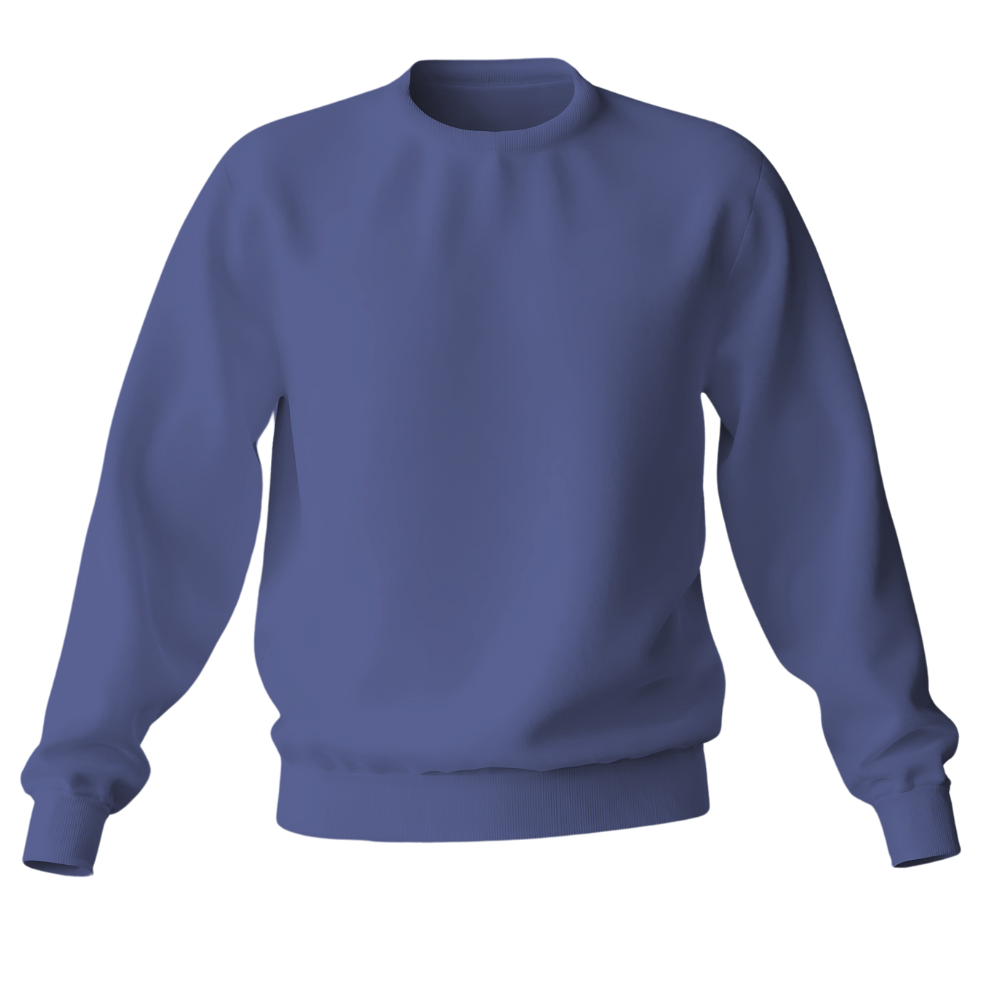 Elegant Sweatshirt Desichalchitra