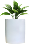 Planter Pot Desichalchitra
