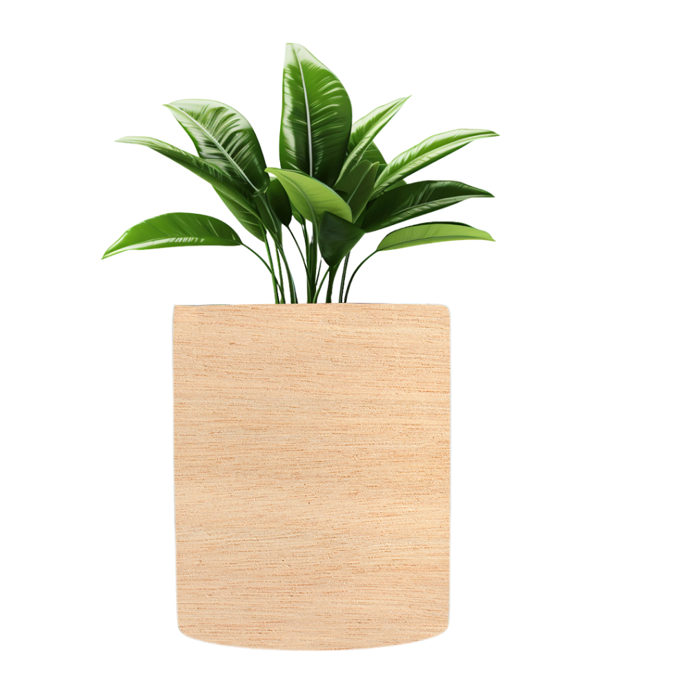 Planter Pot Desichalchitra