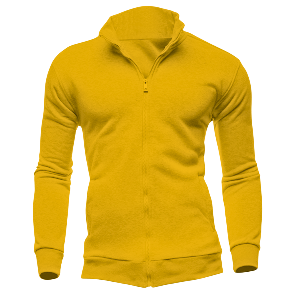Elegant Zipper Collar Hoodie Desichalchitra