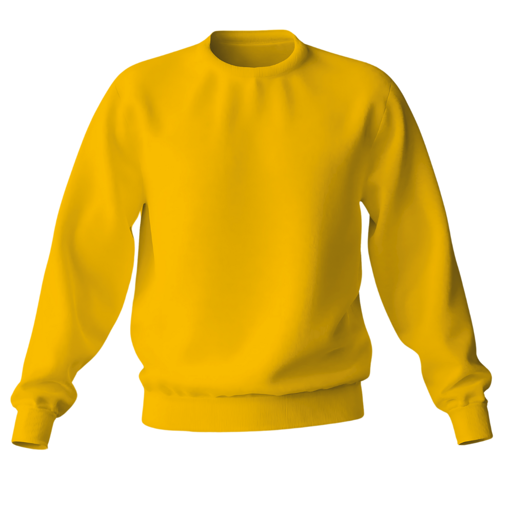 Elegant Sweatshirt Desichalchitra