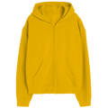 Elegant Zipper Hoodie Desichalchitra
